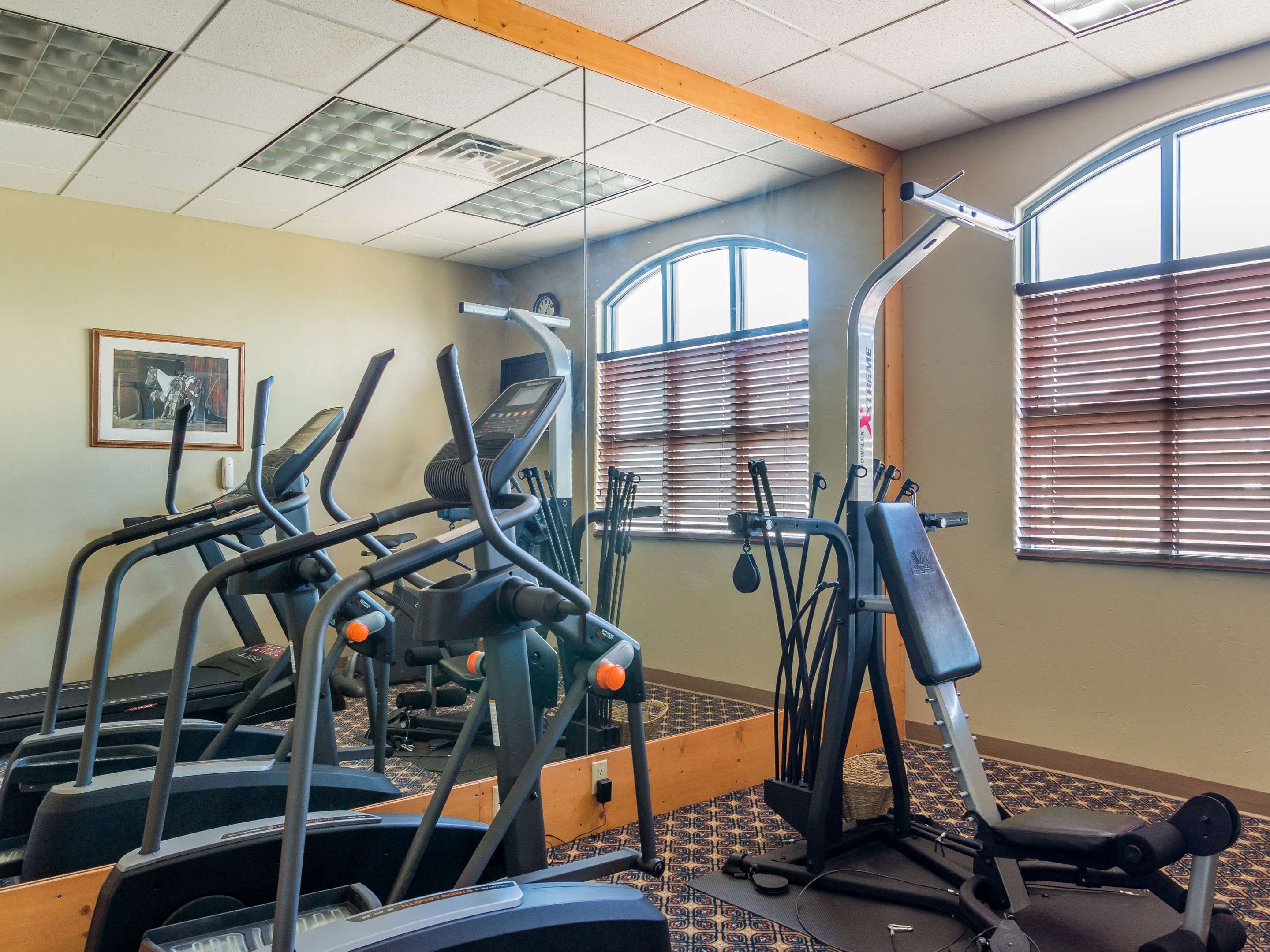 Palestra