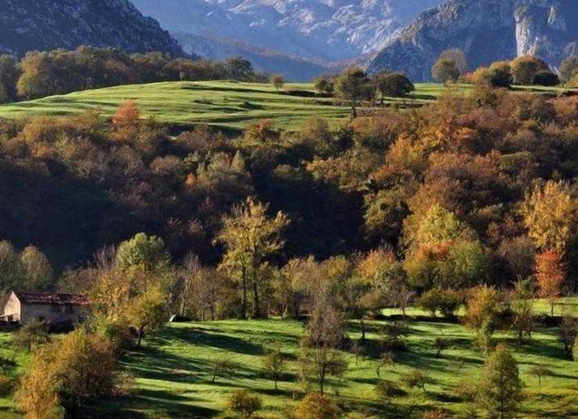 Vista esterna Foto