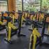 Palestra