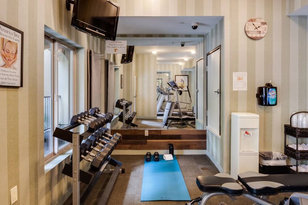 Palestra