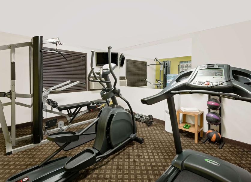 Palestra Foto