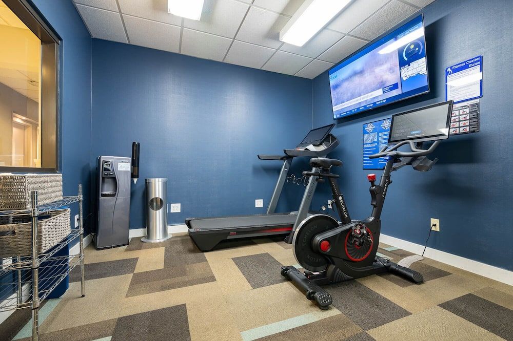 Palestra