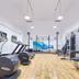 Palestra