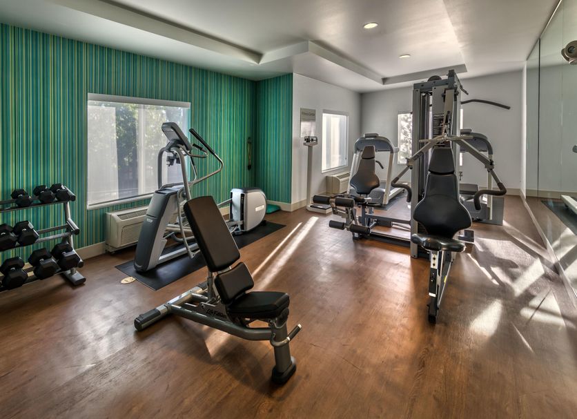 Palestra Foto