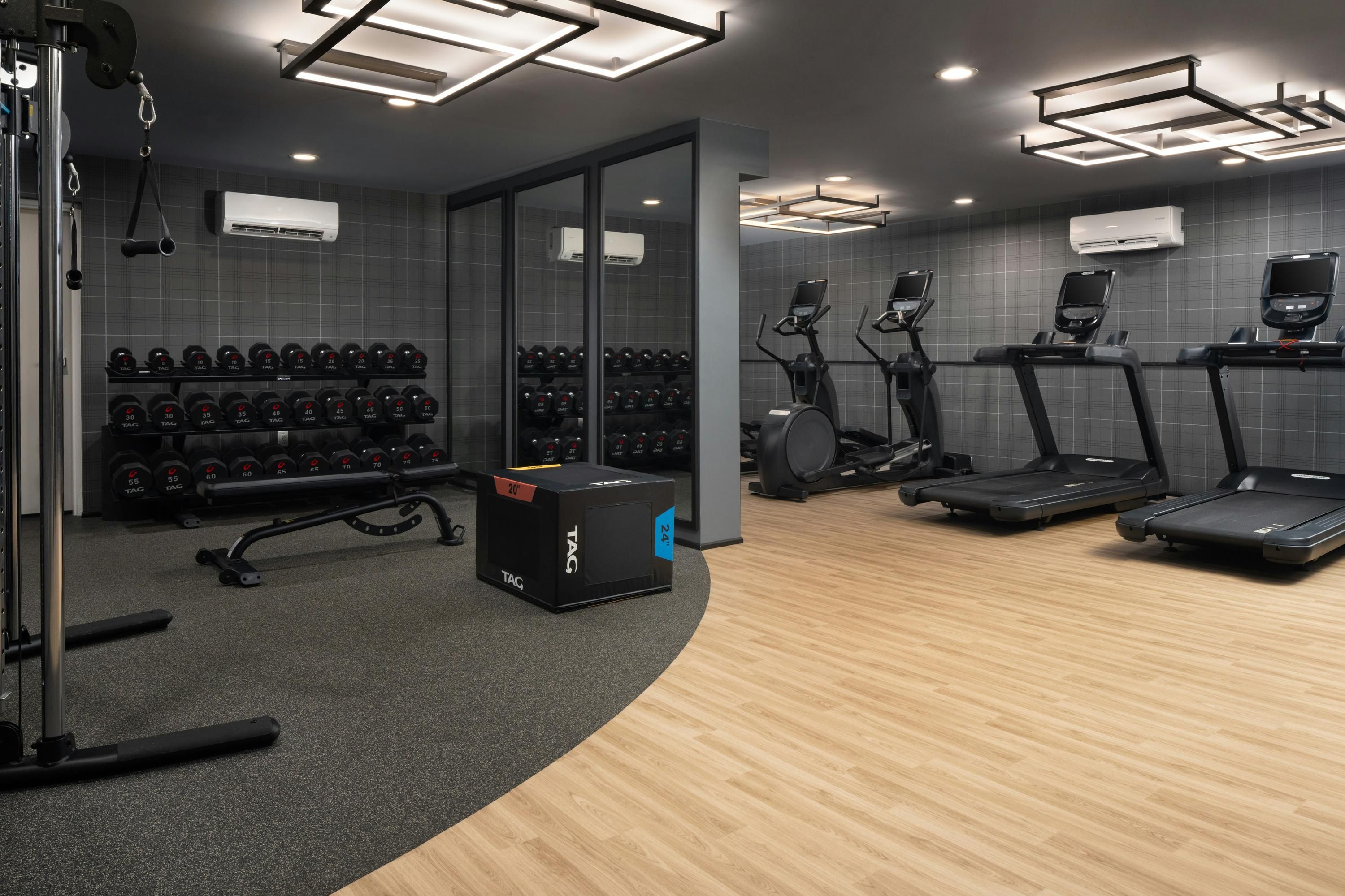 Palestra