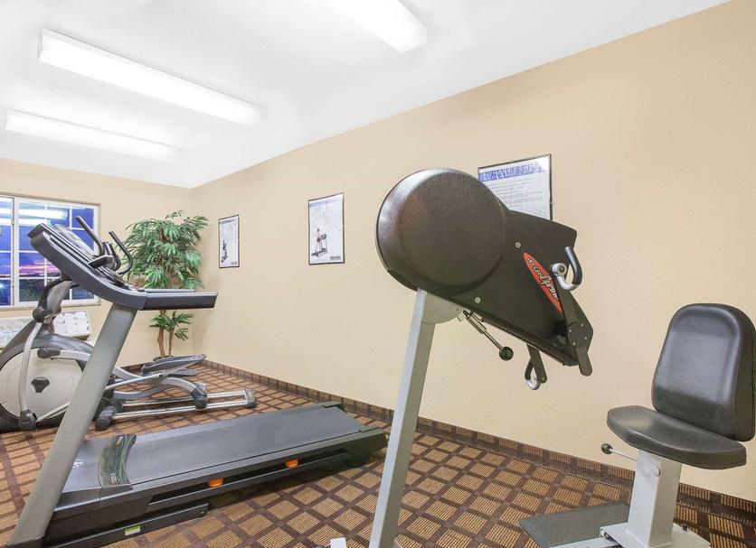 Palestra Foto