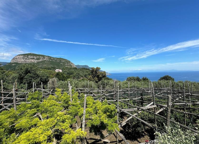 Vista esterna Foto