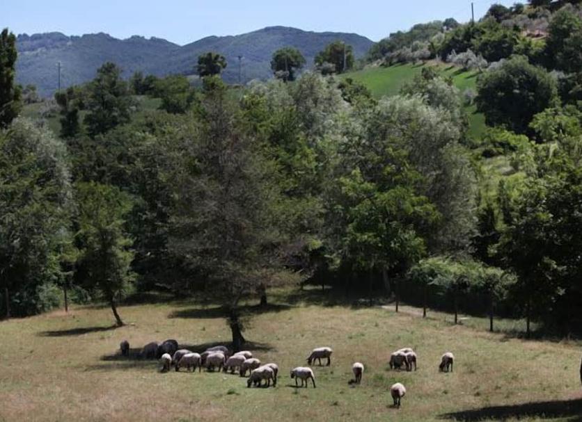 Vista esterna Foto