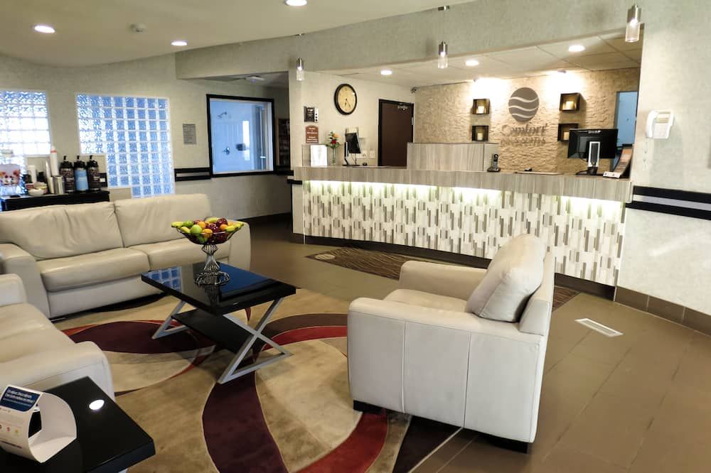 Area lounge