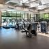 Palestra