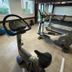 Palestra