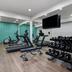 Palestra