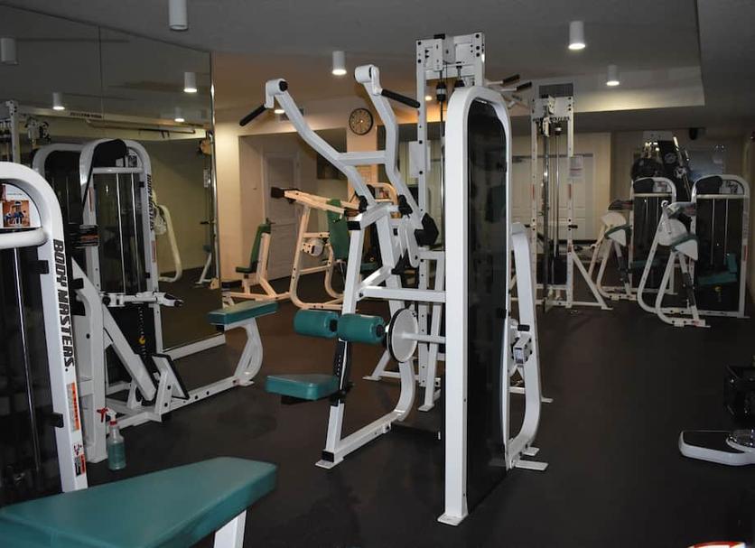 Palestra Foto