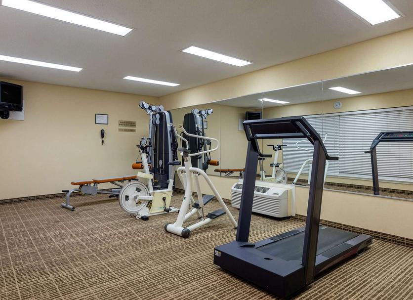Palestra Foto