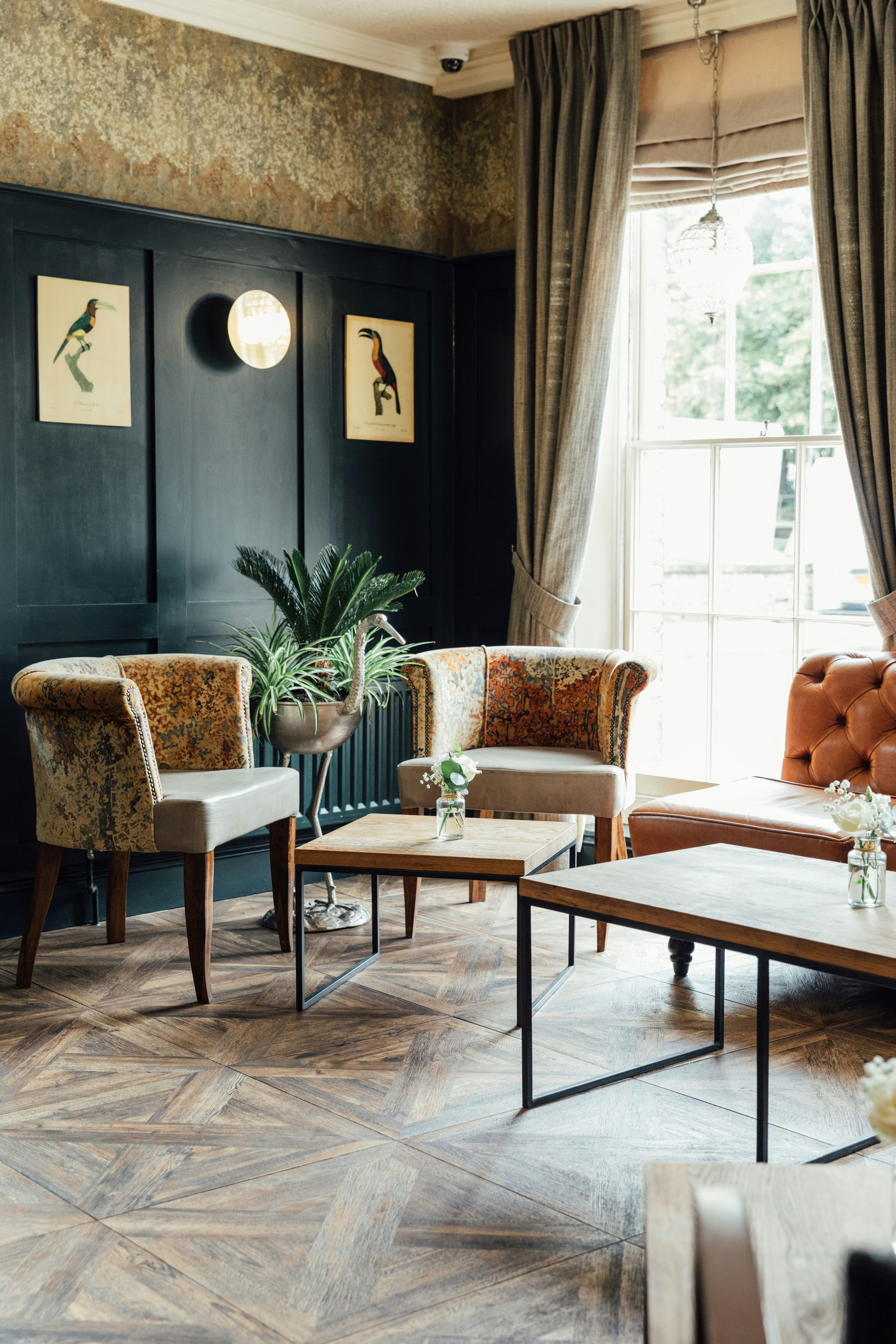 Area lounge