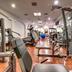 Palestra