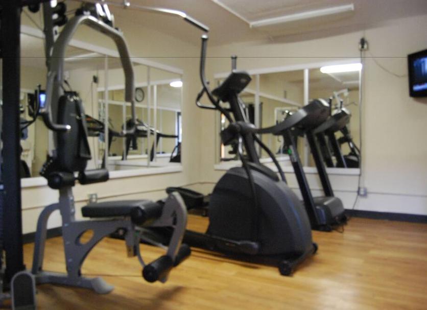 Palestra Foto