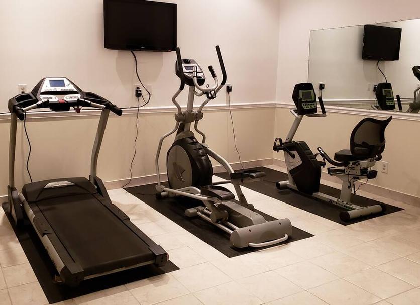 Palestra Foto