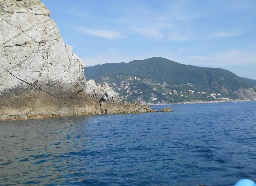 Altro Foto