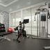 Palestra