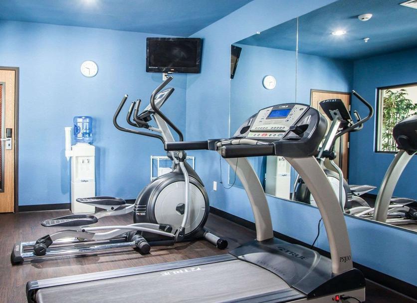 Palestra Foto