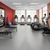 Palestra