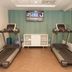 Palestra