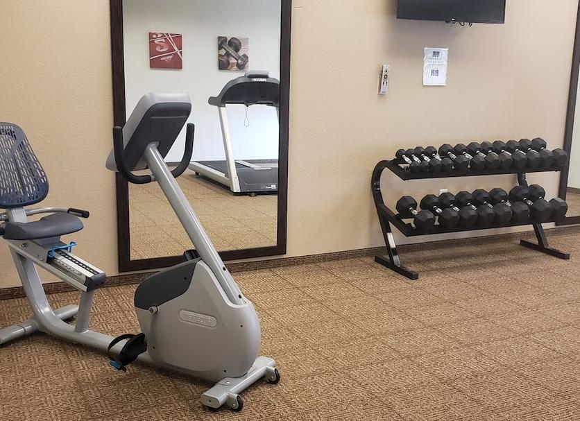 Palestra Foto