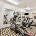 Palestra