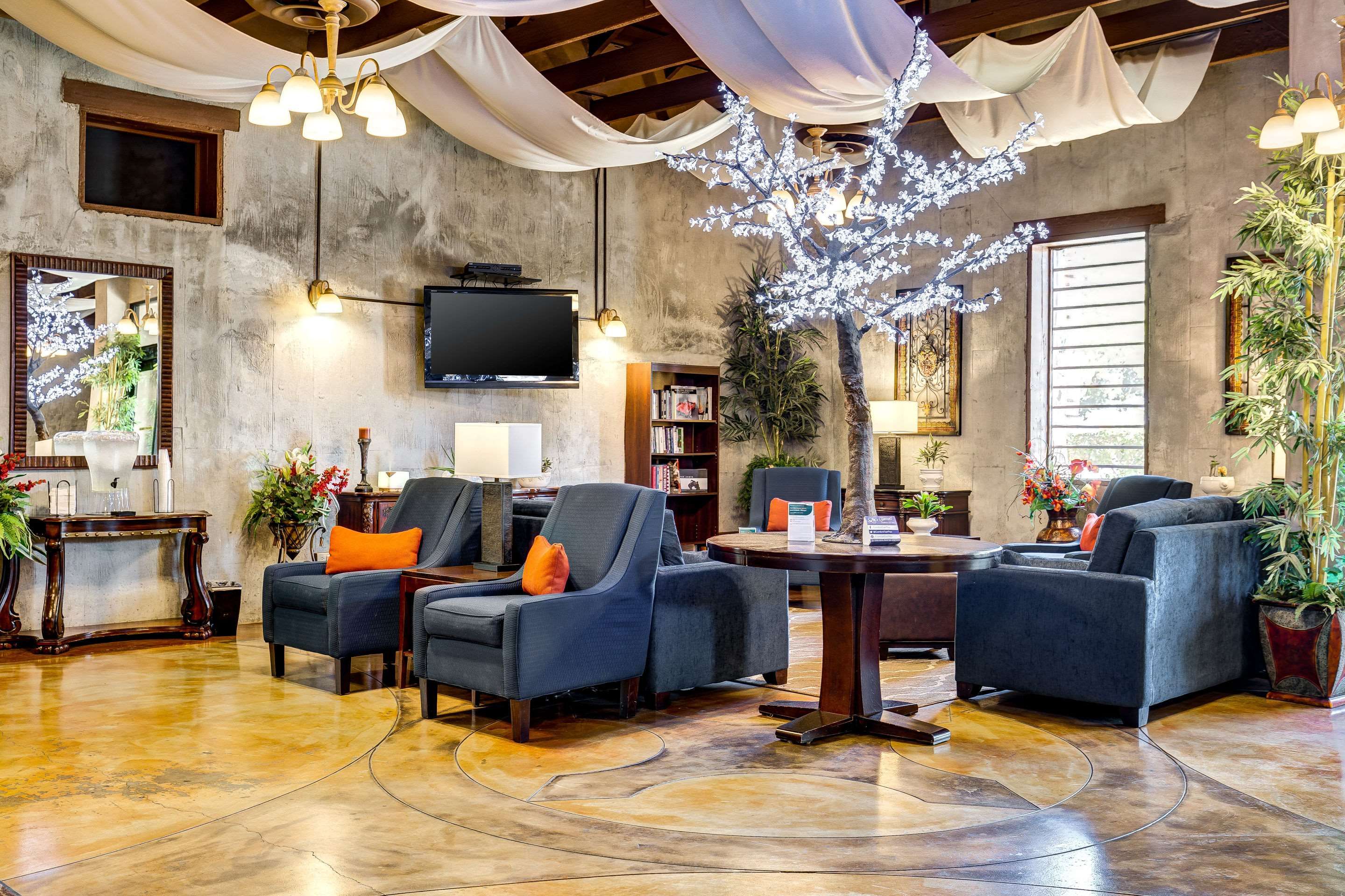 Area lounge Foto