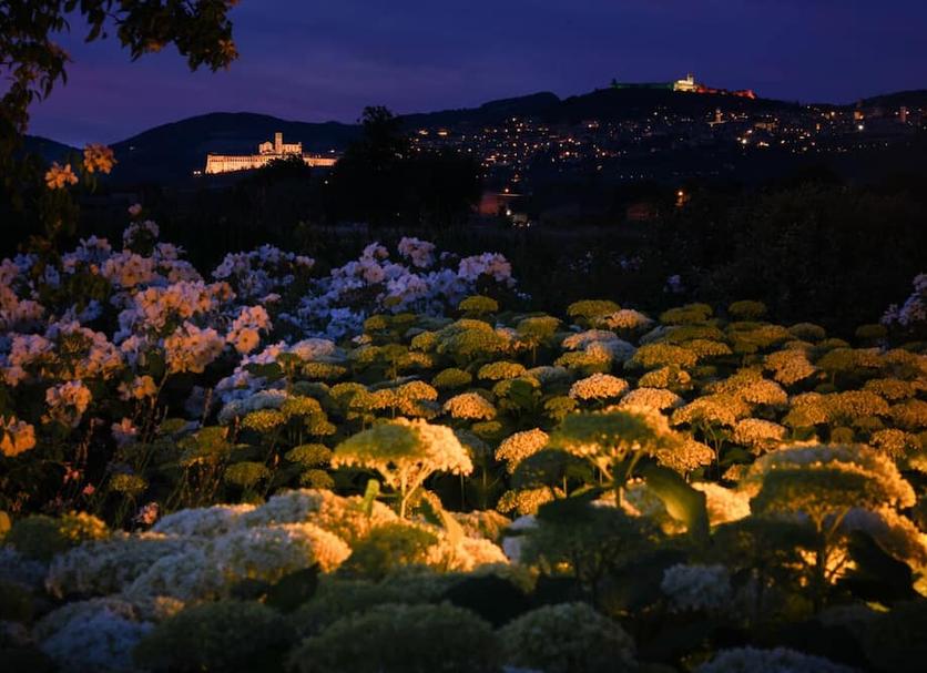 Vista esterna Foto