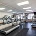 Palestra