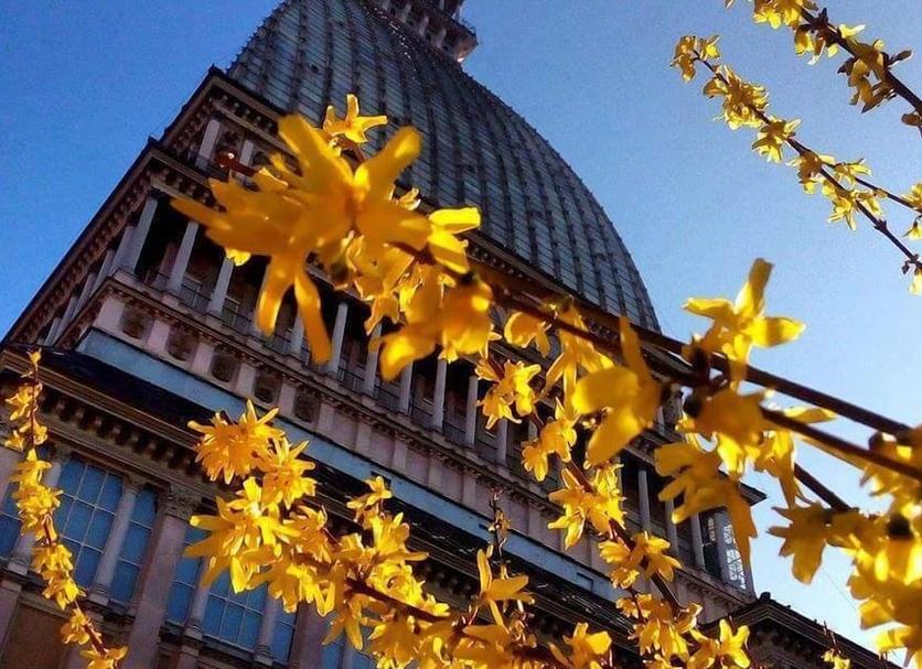 Vista esterna Foto