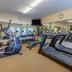 Palestra
