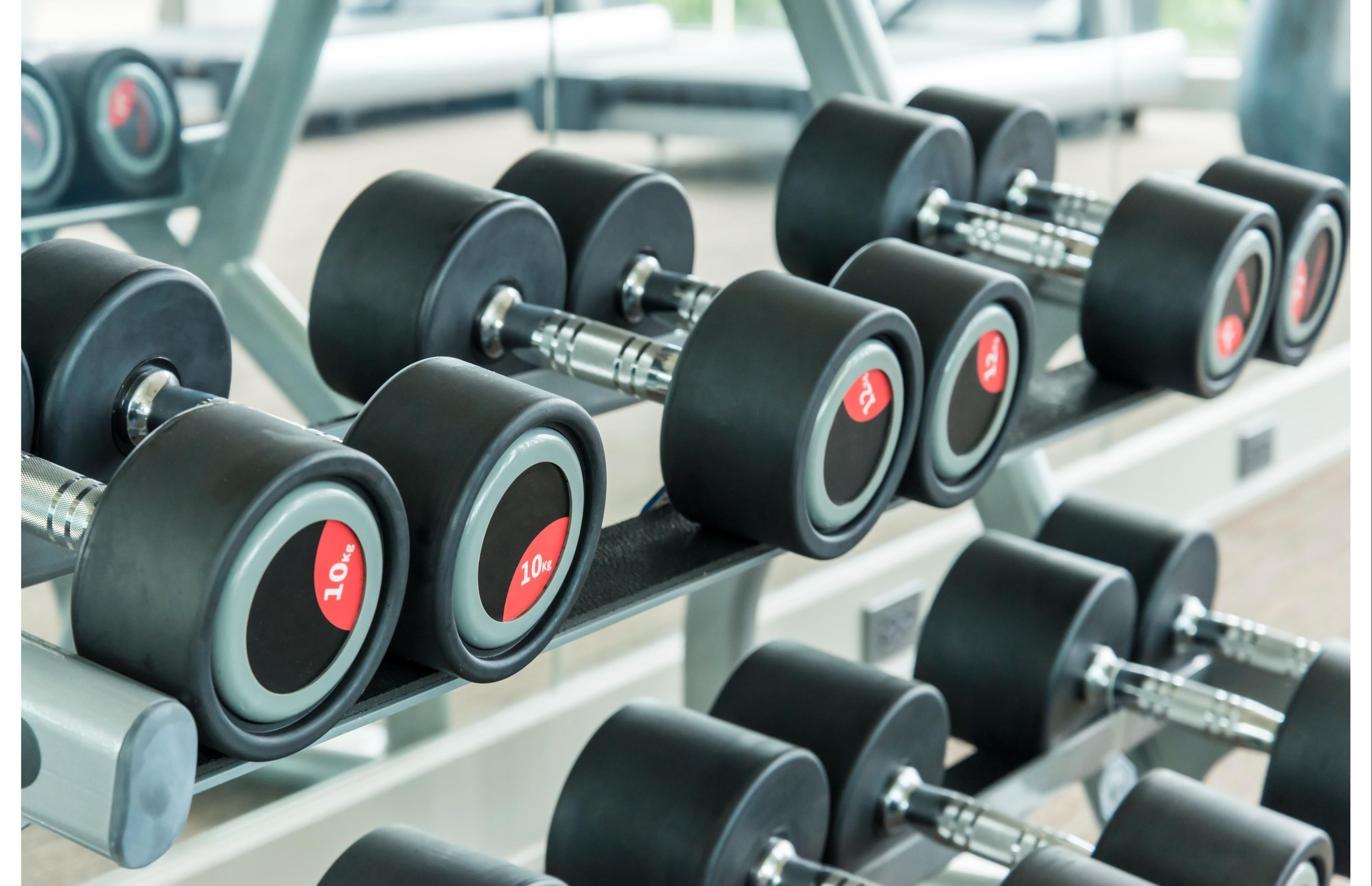 Palestra