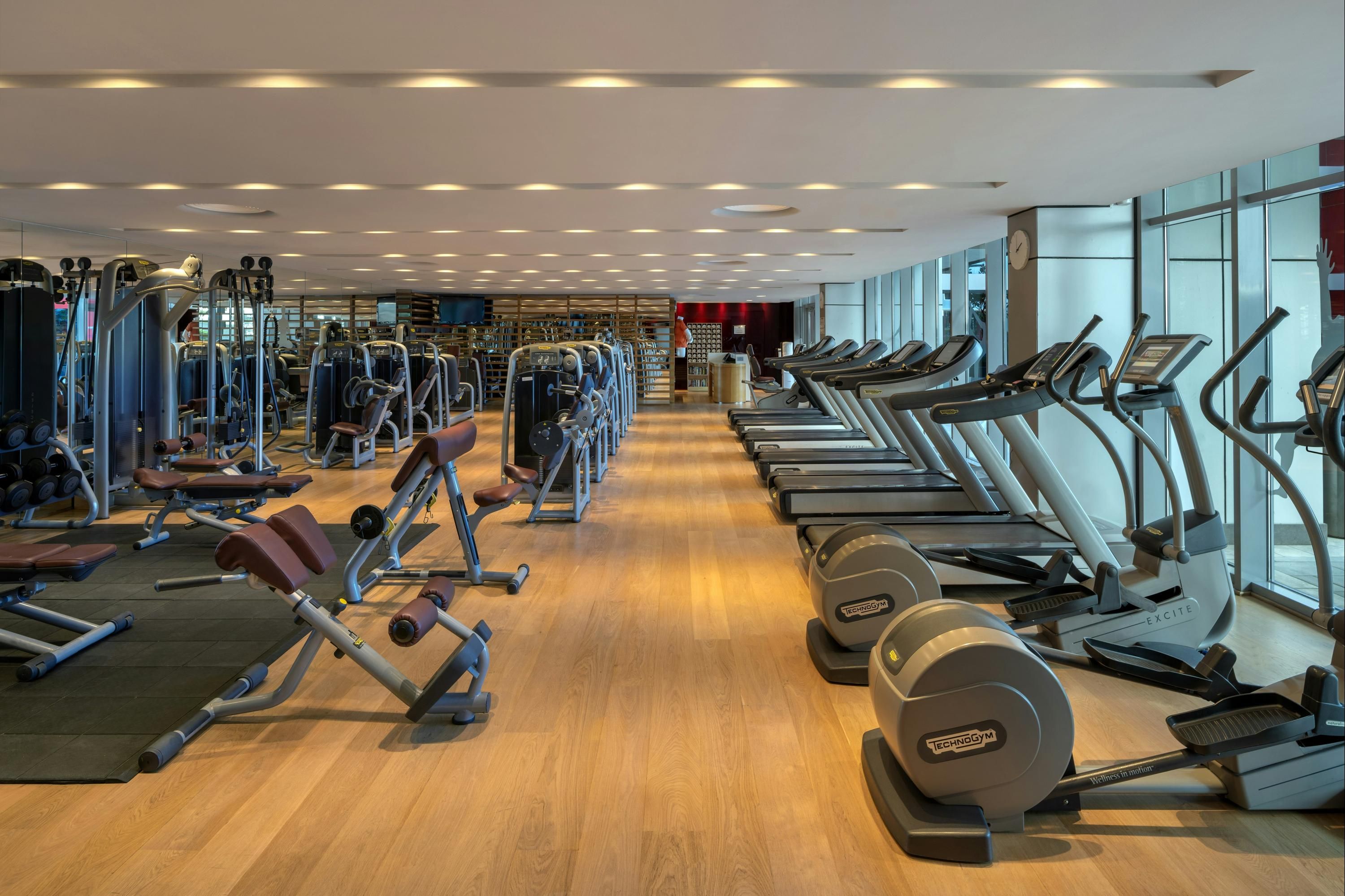 Palestra