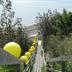 Vista esterna