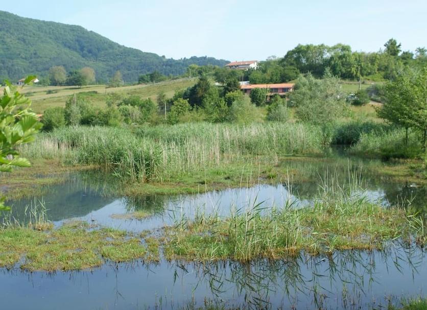 Vista esterna Foto