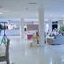Ingresso