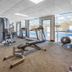 Palestra