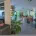 Ingresso