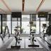 Palestra