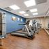 Palestra
