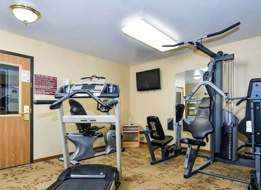 Palestra Foto