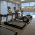 Palestra