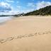 Spiaggia