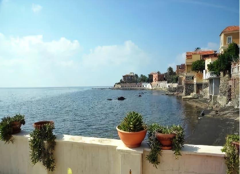 Altro Foto