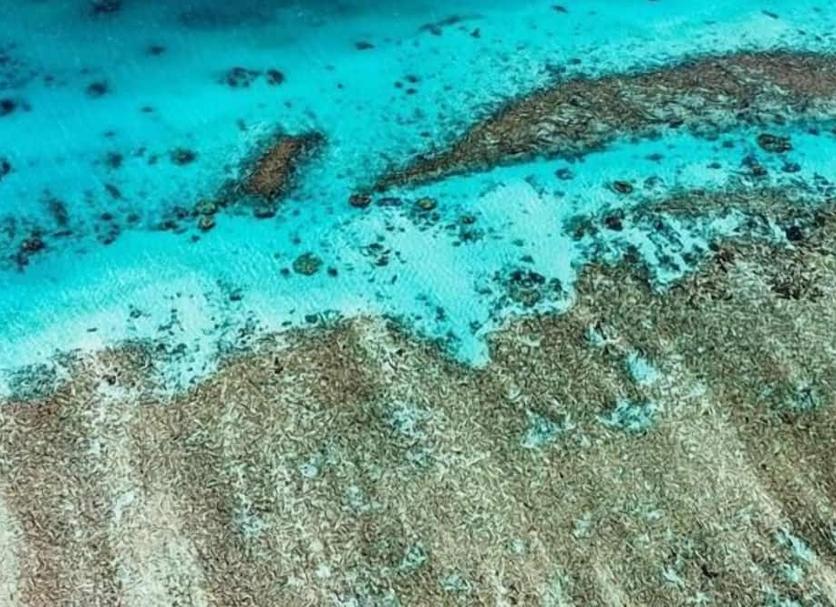 Spiaggia Foto