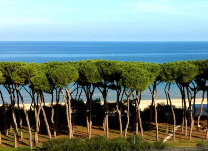 Vista esterna Foto