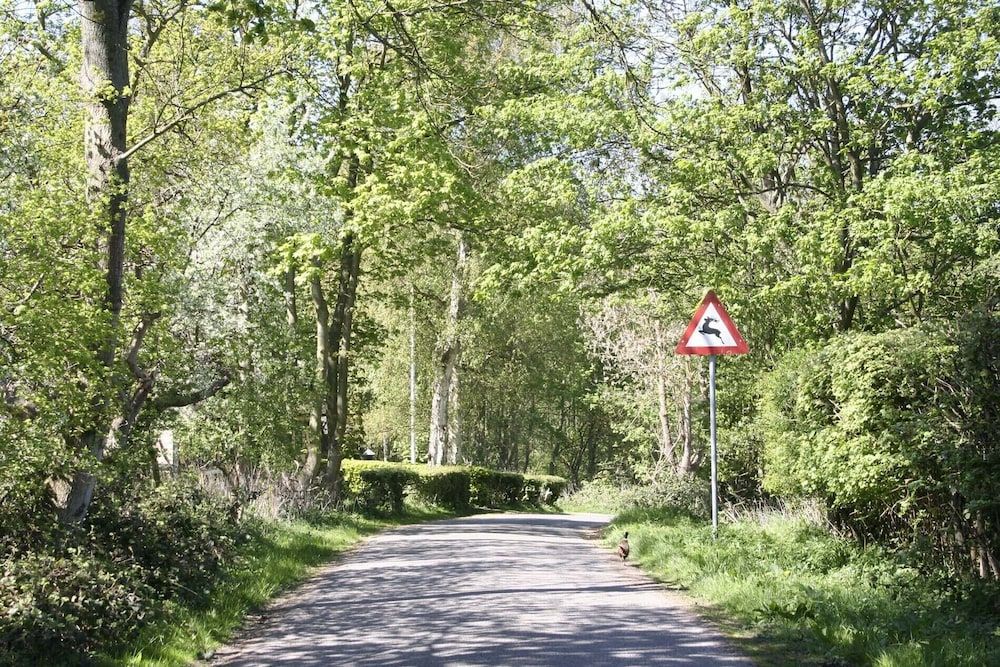 Vista esterna